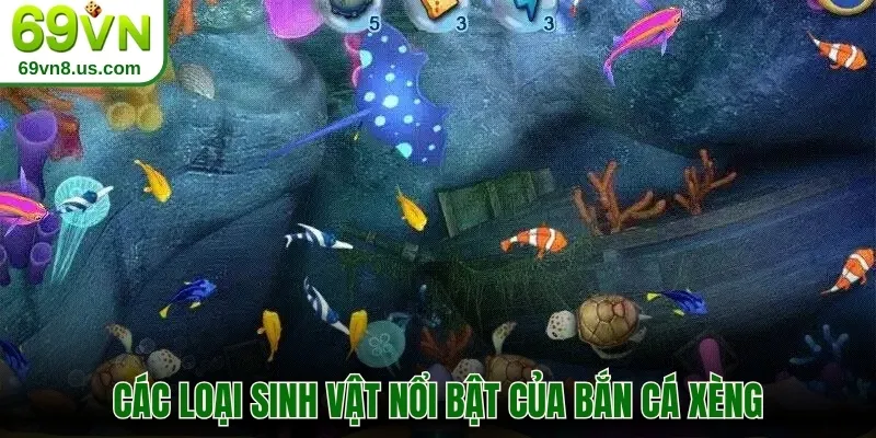 Các loại sinh vật nổi bật của bắn cá Xèng